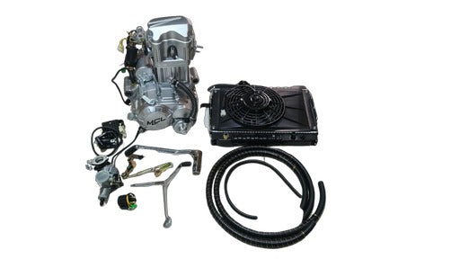 MOTOR COMPLETO CARGUERO
